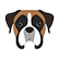Baxter face